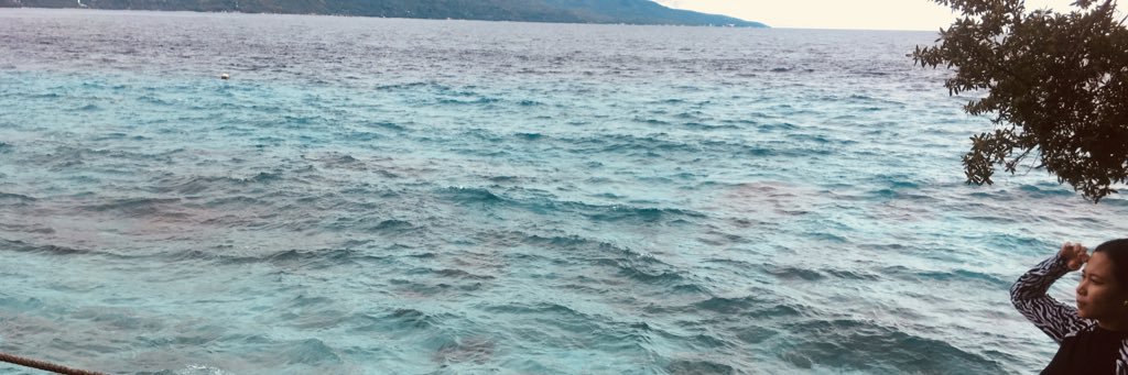 RoanVF's profile banner image