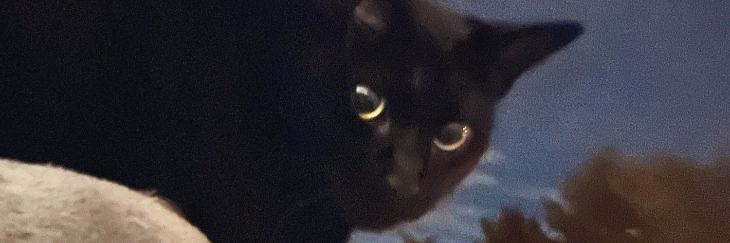 rawflecopter's profile banner image