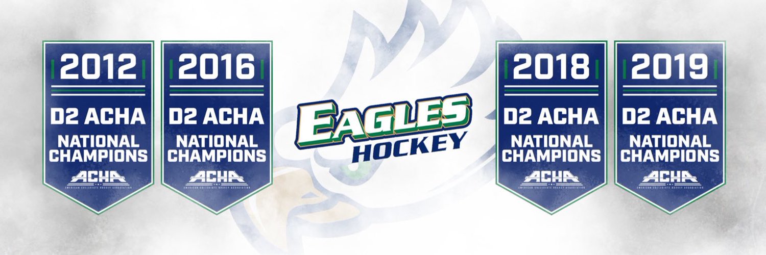 FGCU Eagles Hockey Profile Banner