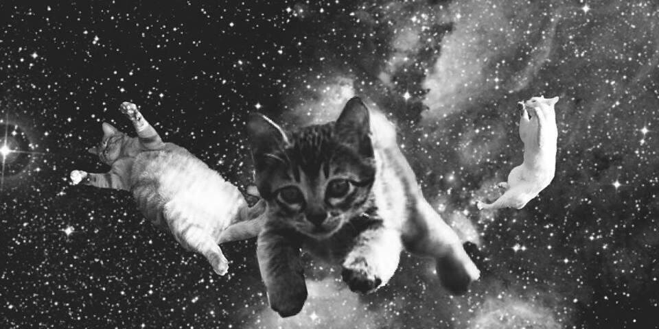alexepnos's profile banner image
