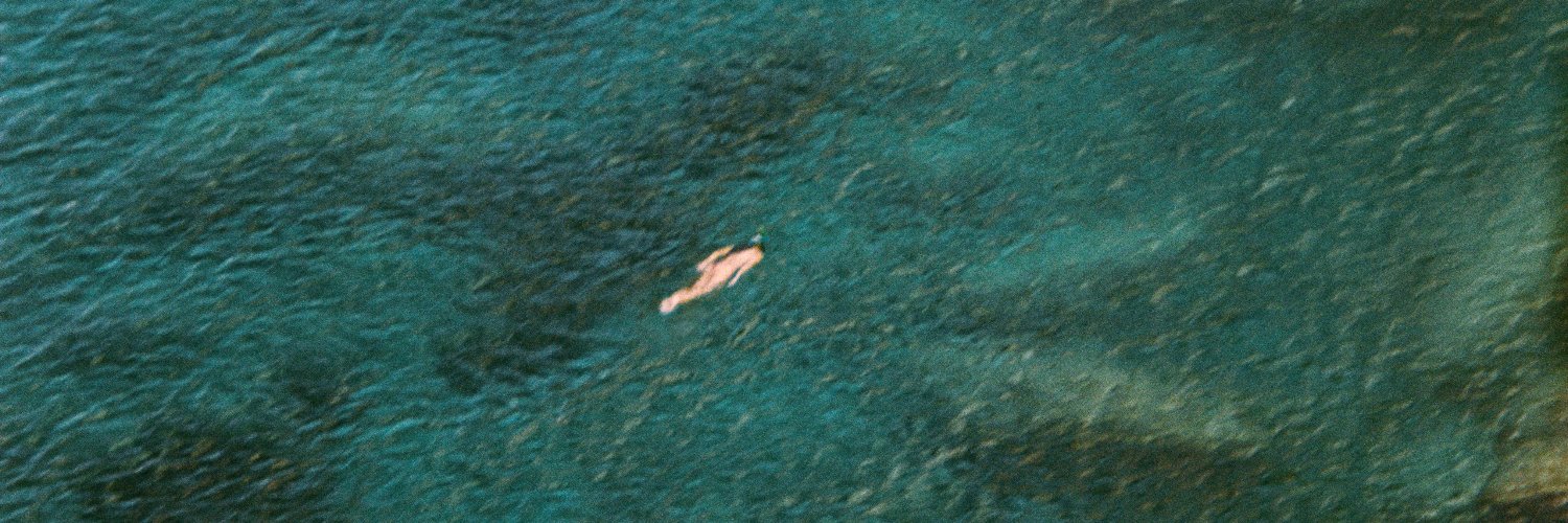 The Last Dinosaur banner