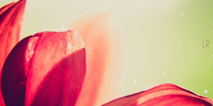 Eriasyifa's profile banner image