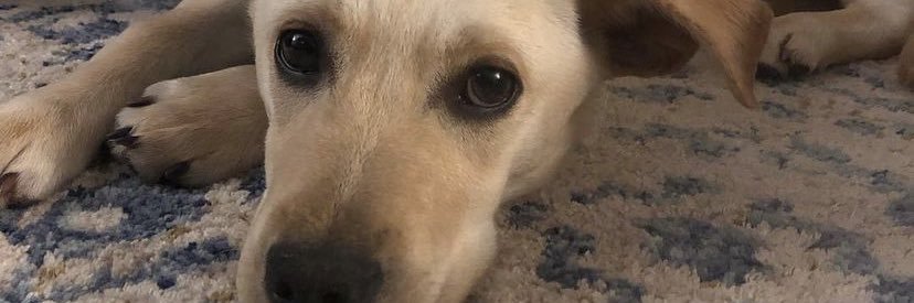 Eric (reengir) hunt banner