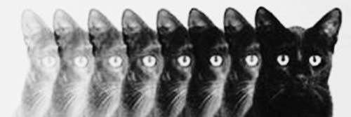lamiaboy's profile banner image