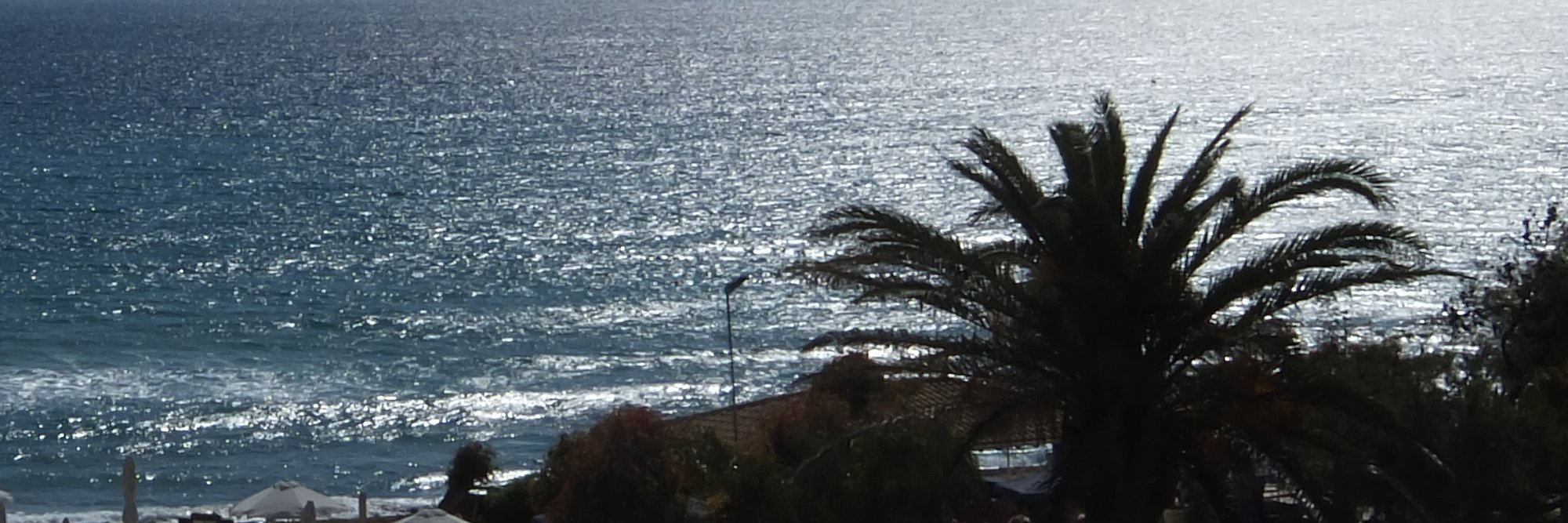 SharonSimcoxmrk2 banner