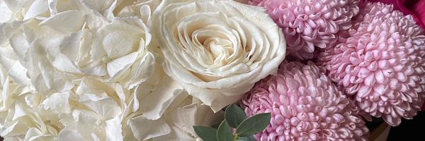 heyhersheyy Profile Banner