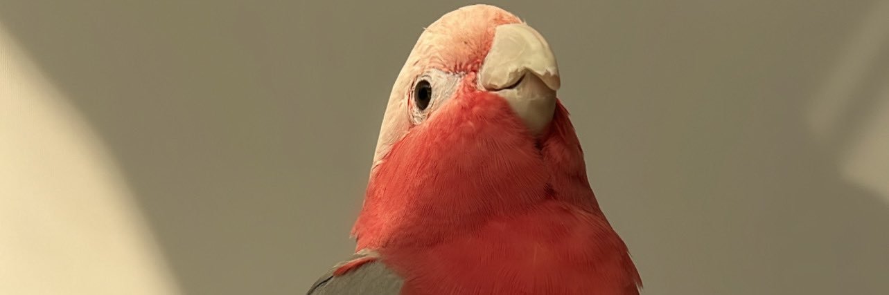 JayAlmheiri's profile banner image