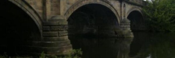 RAN22DA Profile Banner