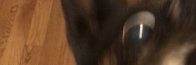 0ndm0's profile banner image