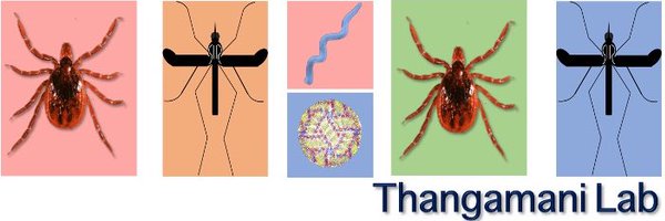 Thangamani_Lab Profile Banner