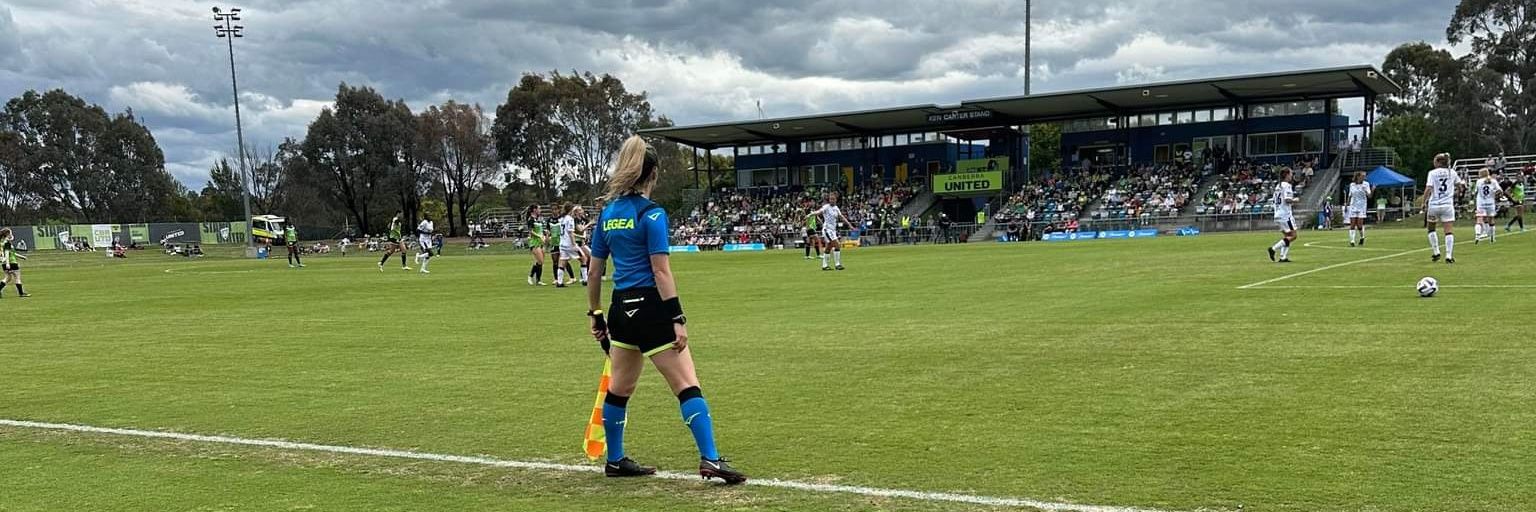 Del Shakespear banner