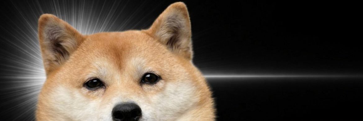 nocchicchi0930's profile banner image