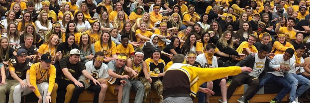 Fargo South Bruins banner