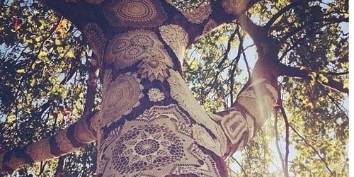 lacasse_13's profile banner image