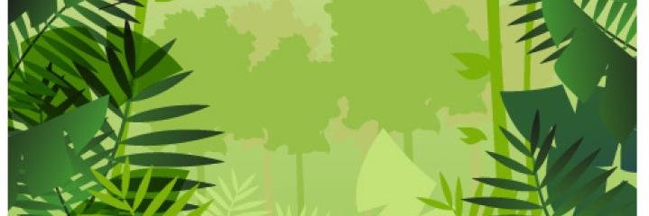 Eric Z. banner