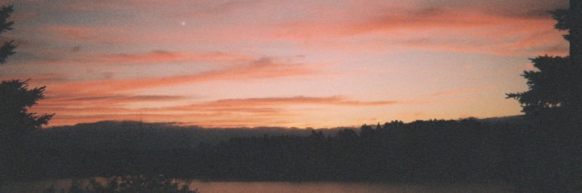 meghewittt's profile banner image