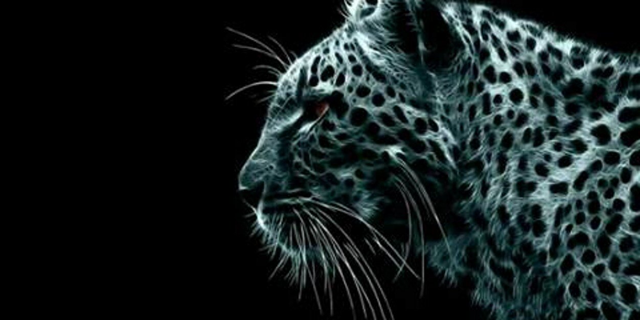 Teddysikes's profile banner image
