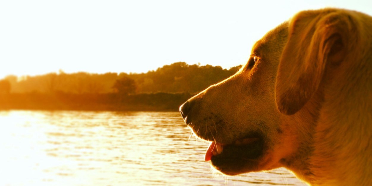 BeckyMurphy511's profile banner image