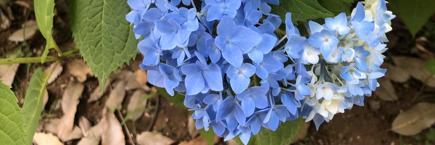 たんねぇ banner