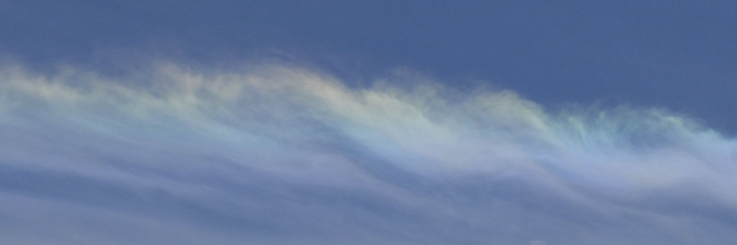 Anne MacKenzie banner