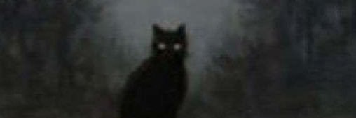 professor_bno's profile banner image