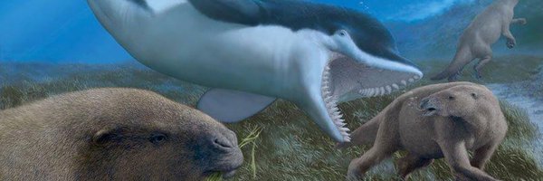 cornerstone_a Profile Banner