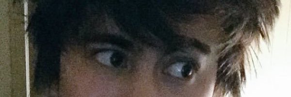 leafyis_daddy's profile banner image