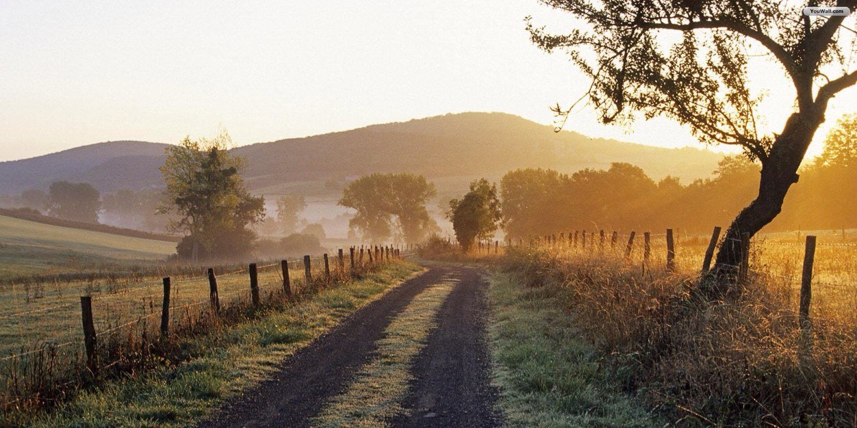 thecountryd's profile banner image