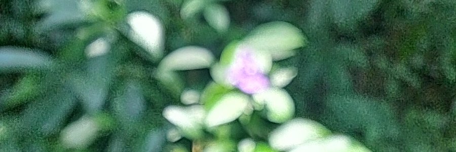 ENIS_tw's profile banner image