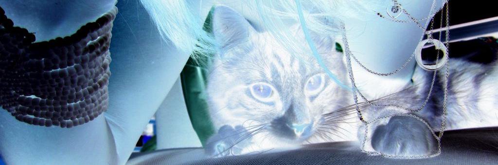 valogrant's profile banner image