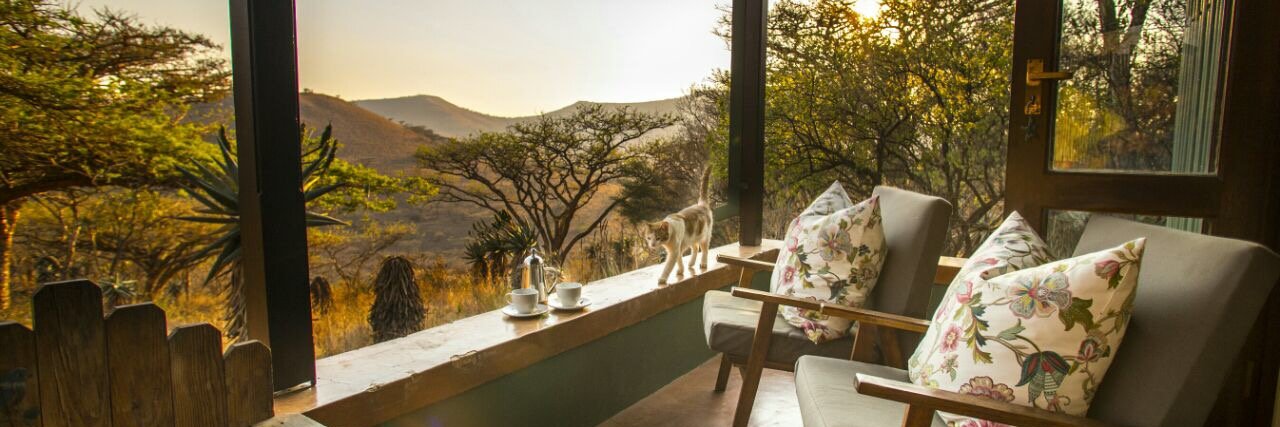 Three Tree Hill banner