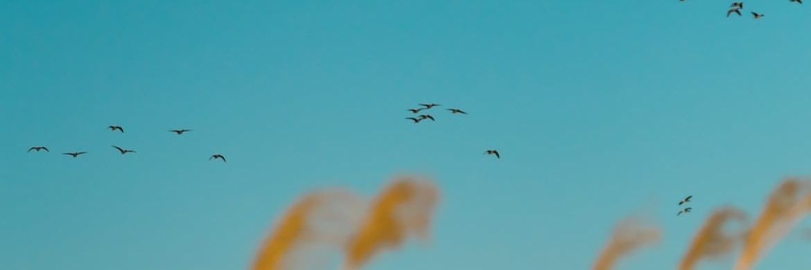 elrhm93's profile banner image