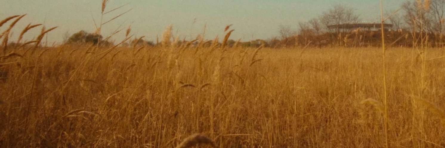 ditsismeee's profile banner image