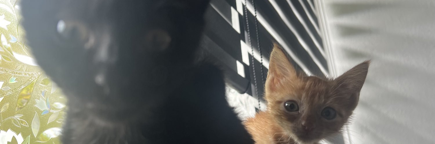 imantianto's profile banner image