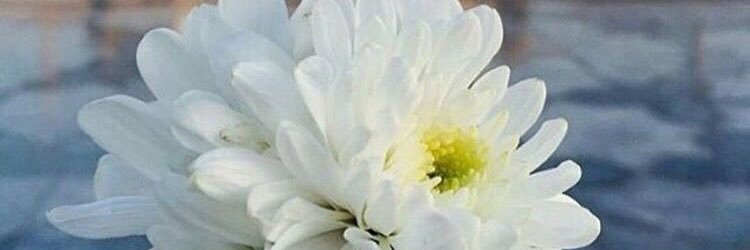 rameilialeciel's profile banner image