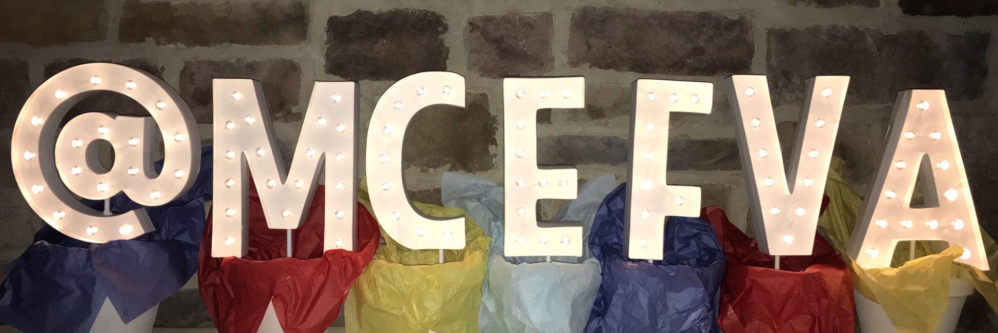 MO CO Educatnl Fndtn banner