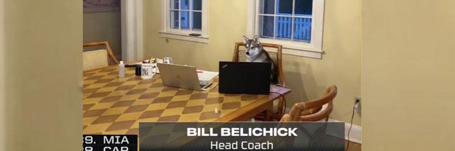 Chelsea Uihlein banner