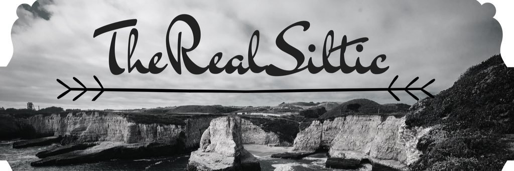 MrSiltic's profile banner image