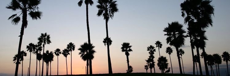 erick banner