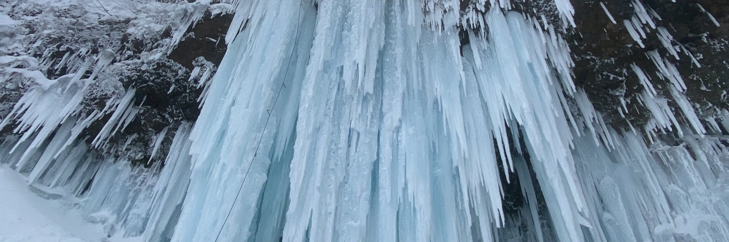 🌕moonwoolf🐺 banner