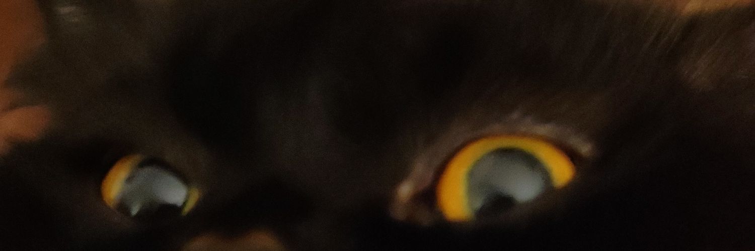 dishapaintment's profile banner image
