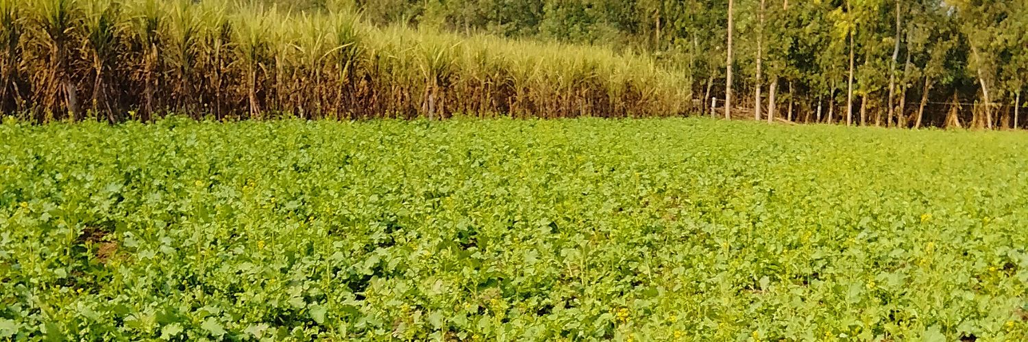kamalsoam's profile banner image