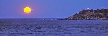 lookout banner
