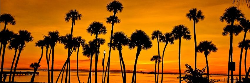 𝕄𝕒𝕣𝕘𝕒𝕣𝕖𝕥🌴Siegien 🐦📷's banner