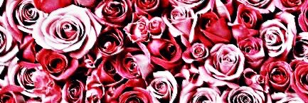 Fluv__'s profile banner image