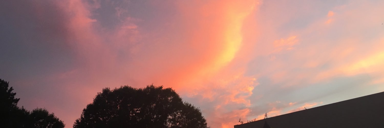 kaitthecatt's profile banner image