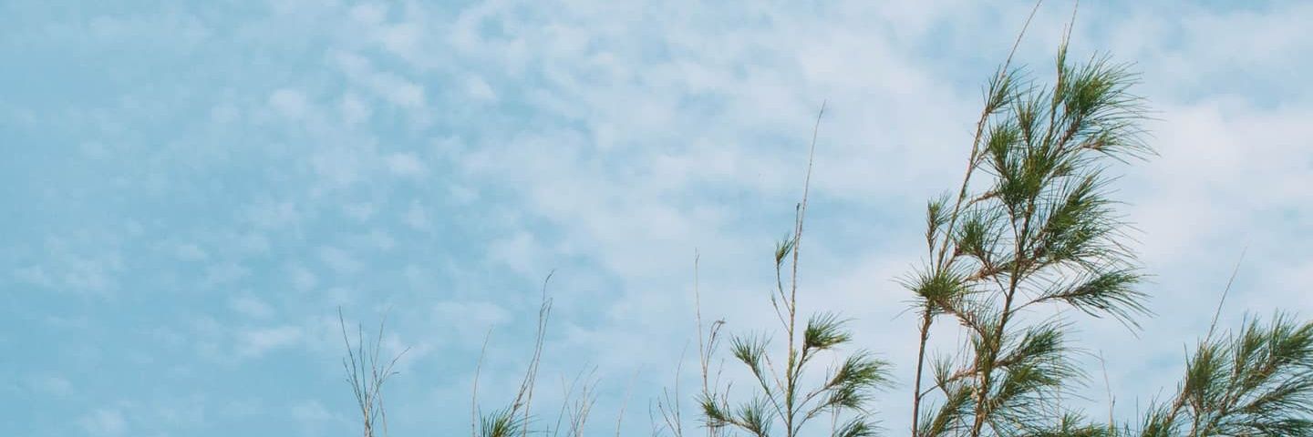 💜𝗜𝗰𝗵𝗶𝗵𝗮 𝘀𝗼𝗱𝗮🖤 banner