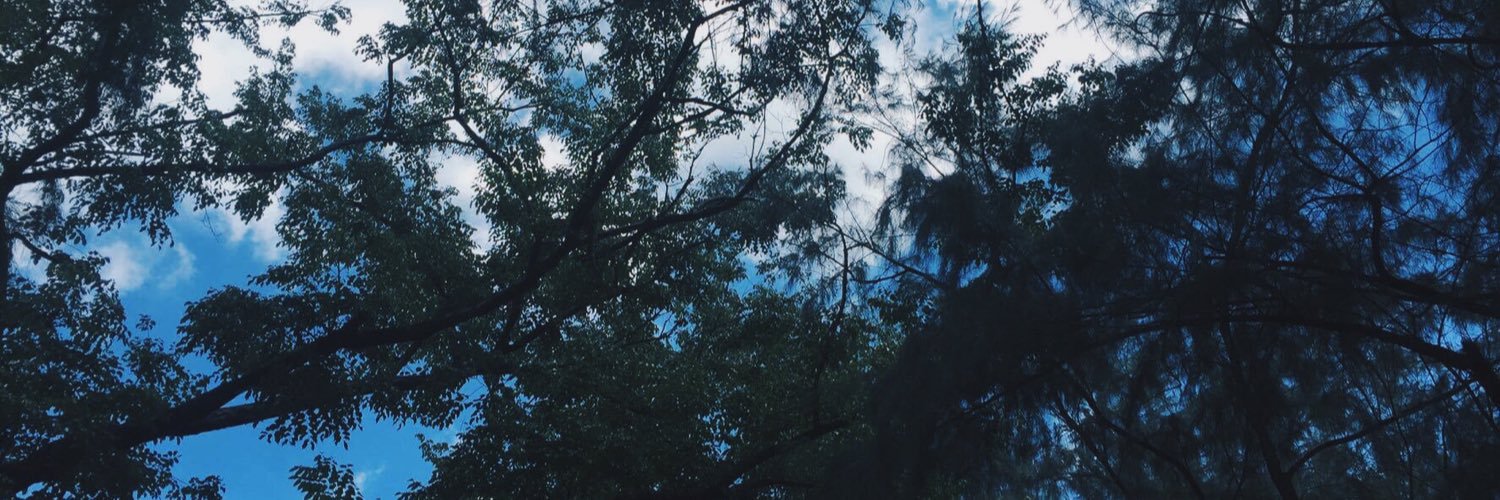 nndnch's profile banner image
