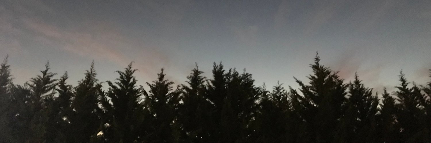 raqqeon's profile banner image