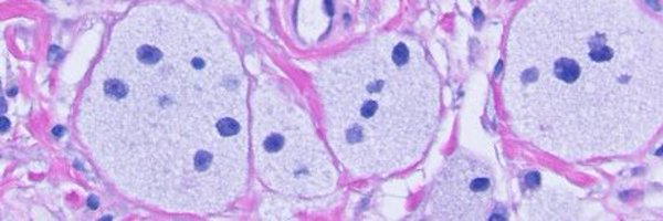 JRamirezMD Profile Banner